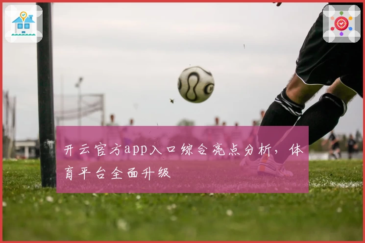 开云官方app入口综合亮点分析，体育平台全面升级